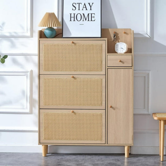 Modern shoe cabinet